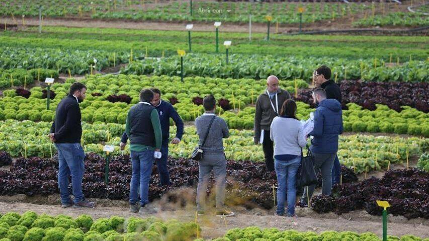 bejo 1 (2)|bejo globo